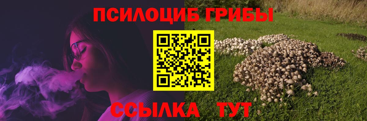 Псилоцибиновые грибы GOLDEN TEACHER Зеленодольск